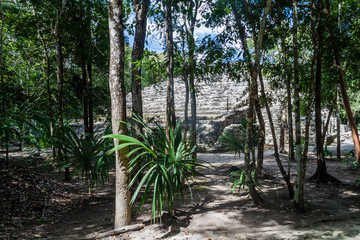 Ruins of the Mayan city Coba, Mexico
