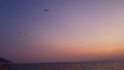  sky of different shades at sunset in summer