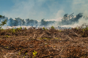 Burning dump at Caye Caulker island, Belize