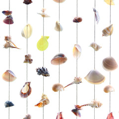 Fototapeta na wymiar Variety seashells hanging isolated on the white wall