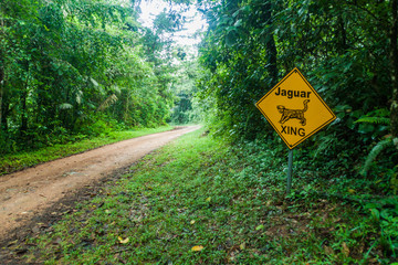 Muddy road in a jungle leading to Cockscomb Basin Wildlife Sanctuary, Belize. Sign jaguar xing (crossing).