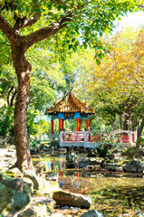 Chinese style garden