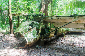 Plane wreck in Cockscomb Basin Wildlife Sanctuary, Belize. This plane crashed with Dr. Alan Rabinowitz, biologist studying jaguars.