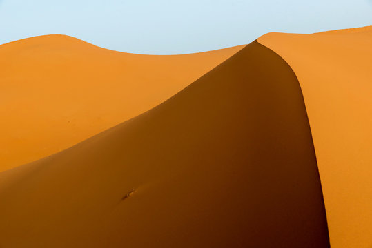 Golden dunes at sunrise