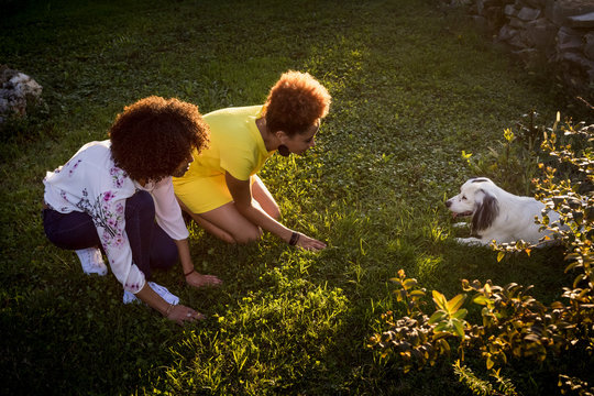 Sisters playing with the dog in the garden
