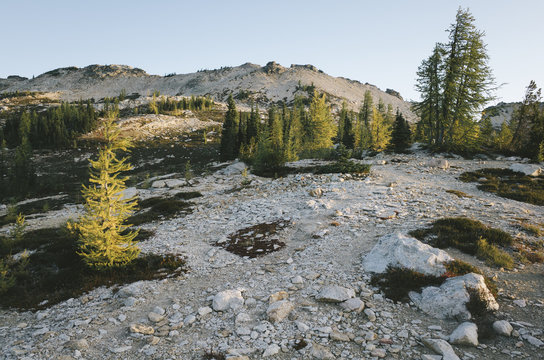 Autumn in the North Cascades, Cutthroat Pass, Washington