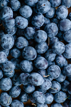 Pile of ripe plums