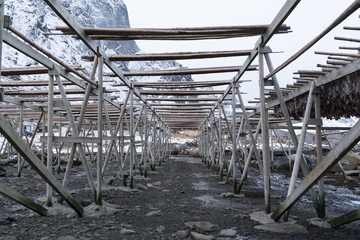 Empty Wooden structure  prepare for hanging dried fishes in Lofoten, Norway