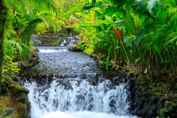 Hot Spring