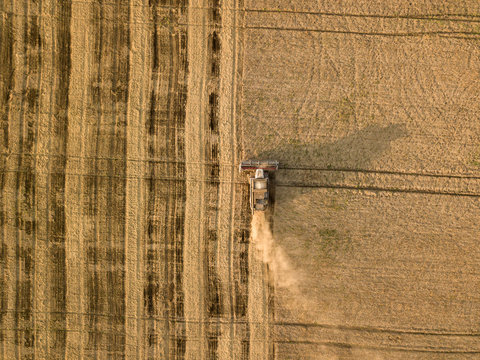 harvesting