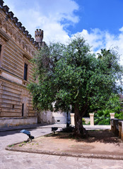 Aragonese castle nardò Salento Italy