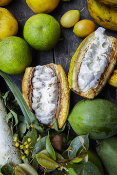 Tropical treasure / Ecuador