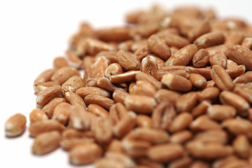 Dinkel
