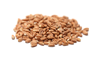 Dinkel
