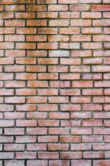 Fototapeta premium Mur z cegły