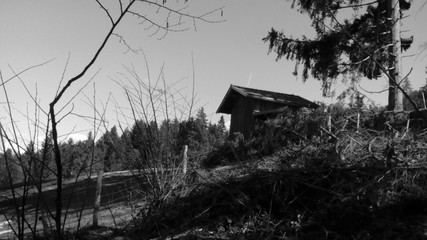 Die Schönheit der Tiroler Landschaft