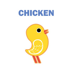 Domestic bird chicken isolated