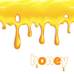 Dripping honey. Illustration isolated on white background. Graphic concept for your design