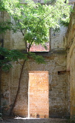 Old destroyed homestead in Odessa, Ukraine with tree