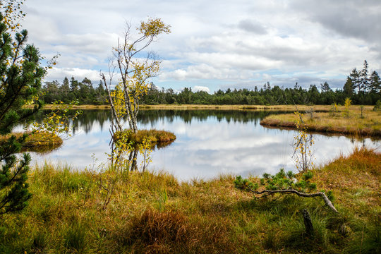 Schwarzwald Wildmoor Wildsee Kaltenbronn