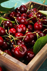 Cherry. Red fresh bunch of cherries on the table