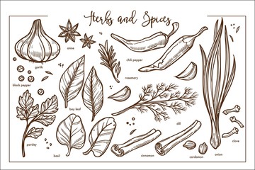Fresh fragrant natural herbs and spices monochrome collection