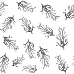 watercolour coral pattern