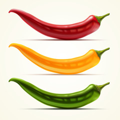 Hot chilli pepper vector set isolated on white background.