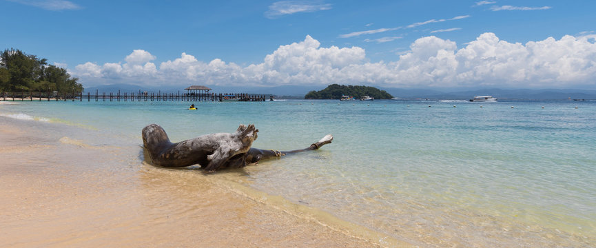 Beach on the Manukan Island, Sabah, Malaysia.
