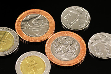 A close up photo of assorted Nigerian coins on a reflective black background