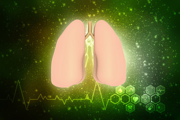 Healthy Human Lungs 3d illustration