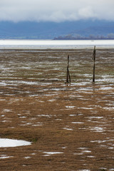 Low water level at Lake Kerkini, Greece with wooden poles and low clouds and a mountain range in the background