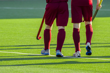 Two Field hockey players on the grass background. Good team.