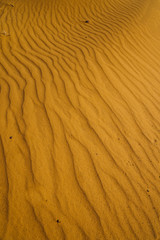Waves in the sand in the desert close-up
