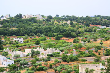 Fototapeta na wymiar the rural view in Puglia, Italy