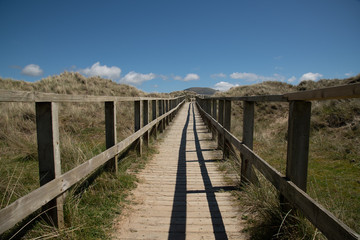 Fototapeta na wymiar wooden walkway going across special area of conservation sand dune habitat