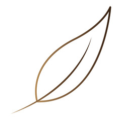 leaf plant ecology icon vector illustration design