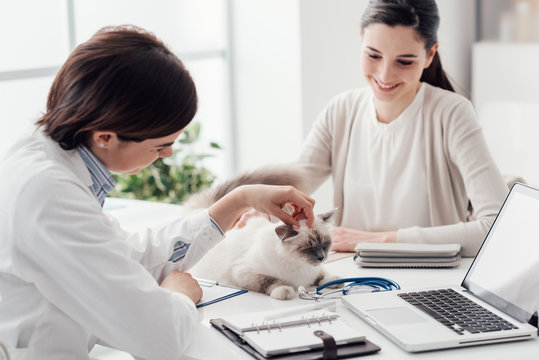 Veterinarian visiting a pet