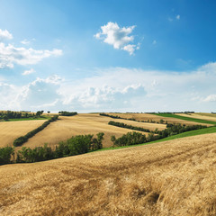 Fototapeta na wymiar Countryside landscape, cultivated fields and blue sky with clouds