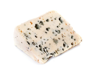 roquefort cheese in studio
