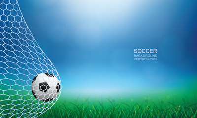 Soccer football ball in soccer goal with green grass field area and light blurred bokeh background. Vector illustration.