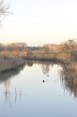 ISOLA DELLA CONA, FOCE DELL' ISONZO