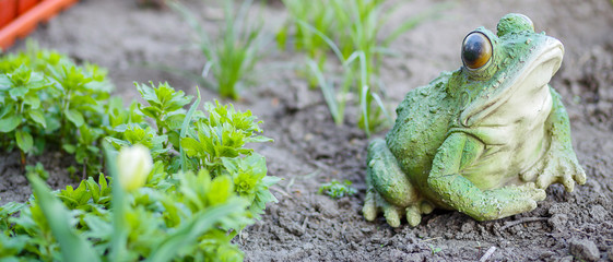 Gardening on a country site in the spring and summer season, panoramic banner