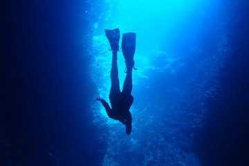 Silhouette of a diver in blue water while cave diving in Neiafu, Vavau, Tonga