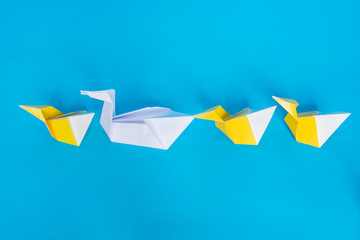 Unique and leadership concept, paper origami swan and ducks on the blue background.