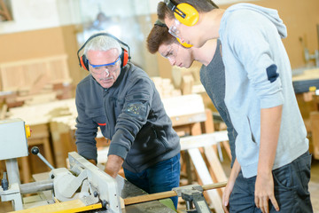 the young carpenters