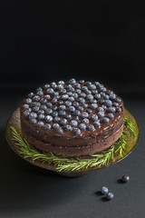 Homemade chocolate cake with blueberries
