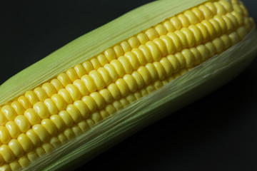 Fresh corn on Table close up image background.