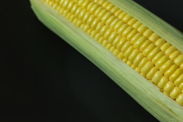 Fresh corn on Table close up image background.