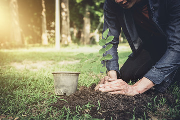 Young man planting the tree in the garden as earth day and save world concept, nature, environment and ecology